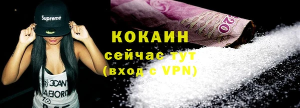 ECSTASY Богданович