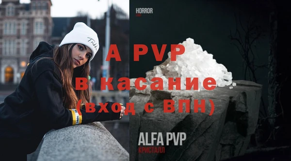 прущие грибы Лагань