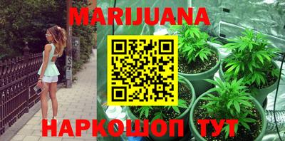 спиды Кингисепп