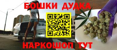спиды Кингисепп