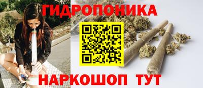 спиды Кингисепп