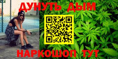 спиды Кингисепп