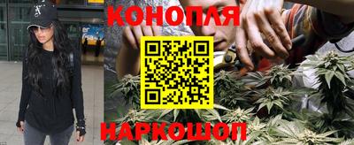 сатива Беслан