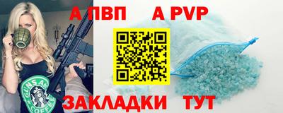спиды Кингисепп
