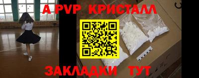 спиды Кингисепп