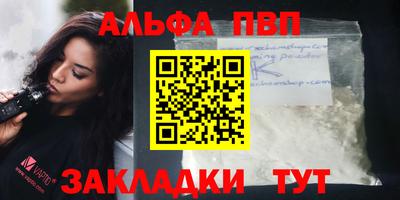 спиды Кингисепп