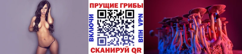 Галлюциногенные грибы мухоморы  kraken как войти  мориарти официальный сайт  Чайковский 