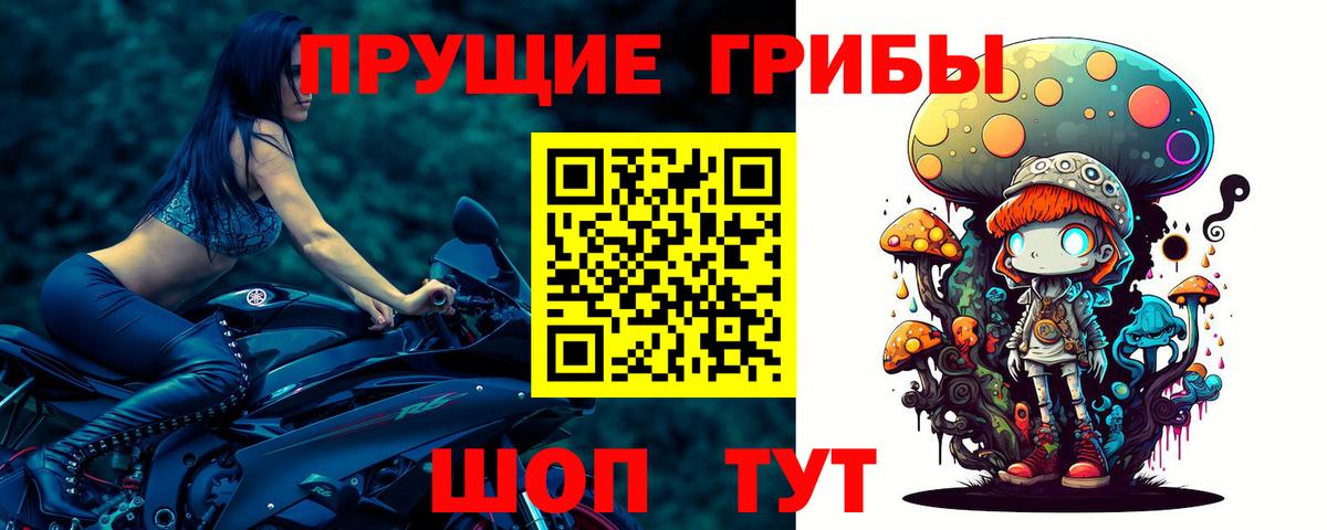 Галлюциногенные грибы Cubensis  Вход с VPN  Чайковский 